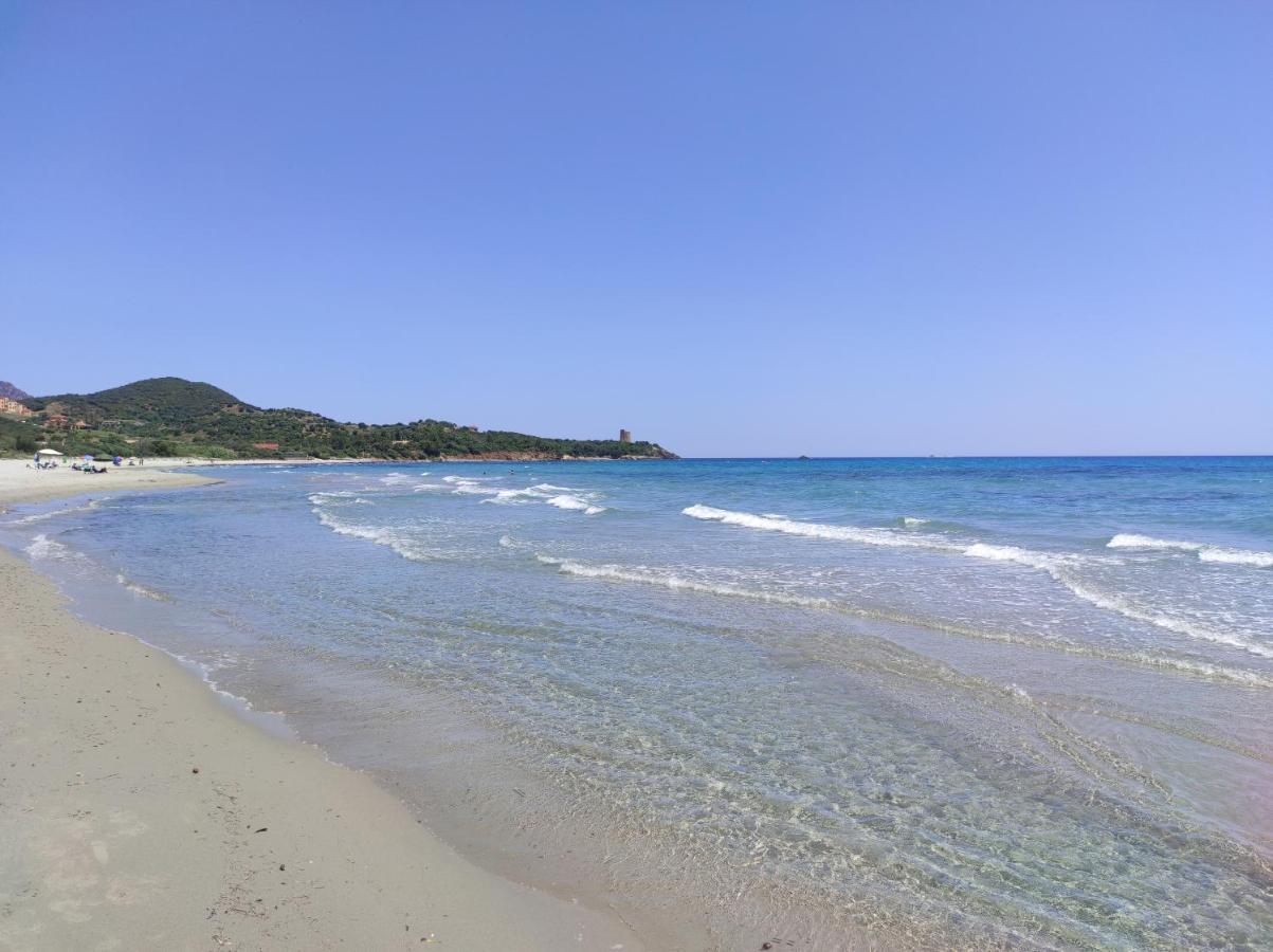 Sa Teria Village - Appartamenti - Tertenìa エクステリア 写真