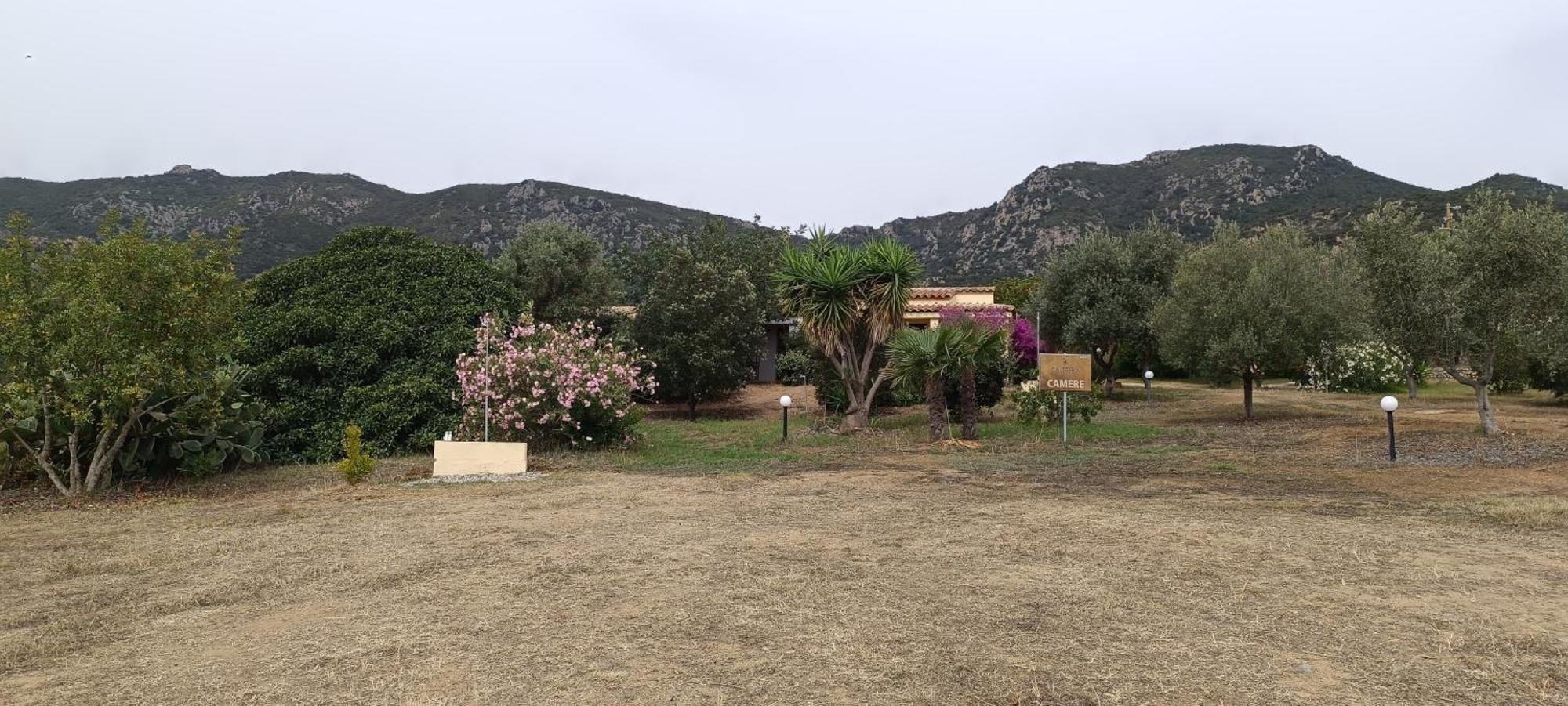 Sa Teria Village - Appartamenti - Tertenìa エクステリア 写真