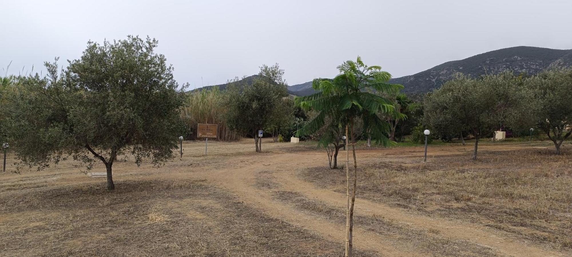 Sa Teria Village - Appartamenti - Tertenìa エクステリア 写真