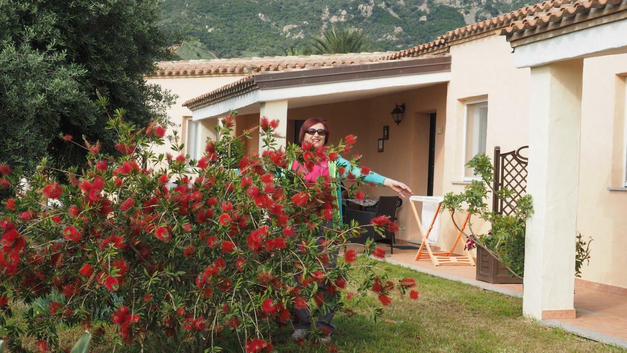 Sa Teria Village - Appartamenti - Tertenìa エクステリア 写真