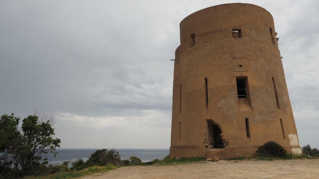 Sa Teria Village - Appartamenti - Tertenìa エクステリア 写真