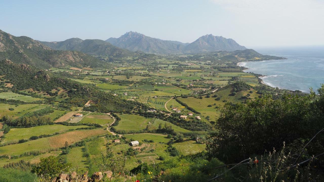 Sa Teria Village - Appartamenti - Tertenìa エクステリア 写真